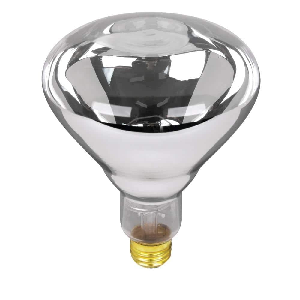 Feitelectric 120-Volt Incandescent Light Bulb (Set of 12)