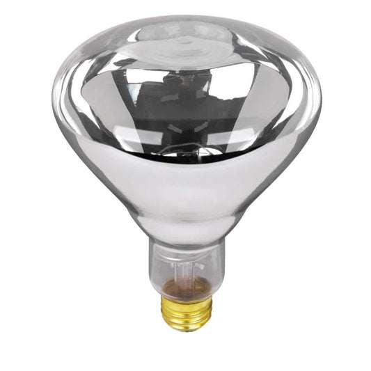 Feitelectric 120-Volt Incandescent Light Bulb (Set of 12)