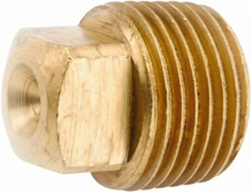 Anderson Metals 1/4 in. Yellow Brass Square Head Square Plug 756109-04