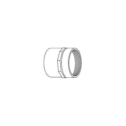 GENOVA 300 Series 30310 Pipe Adapter 1 in Slip 1 in FIP White